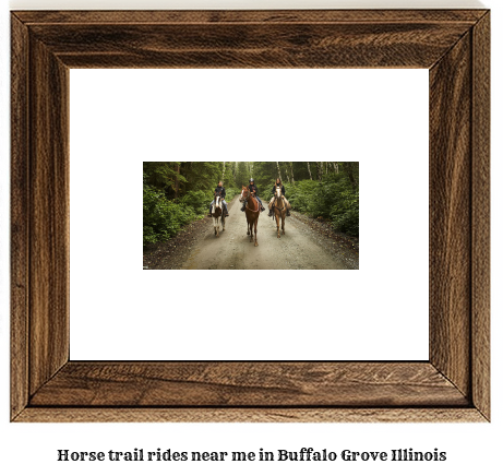 horse trail rides near me in Buffalo Grove, Illinois